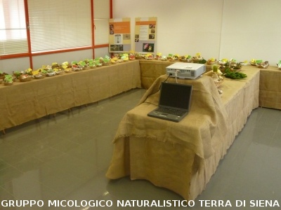 XV Mostra Micologica Senese