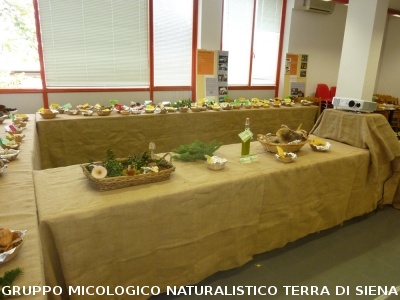XV Mostra Micologica Senese