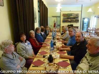 Le Crete Senesi