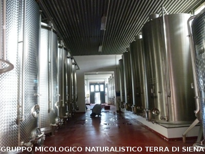 Consiglio Direttivo AGMT a Siena
