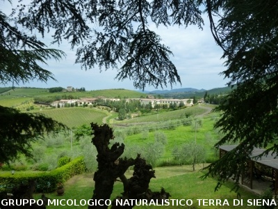 Castello di Brolio