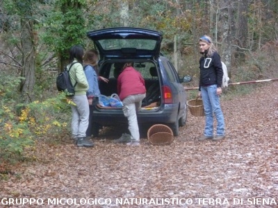 Ricerca funghi al Belagaio