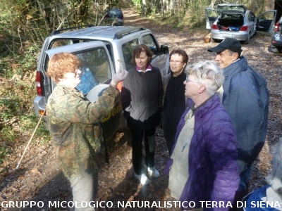 Ricerca funghi al Belagaio