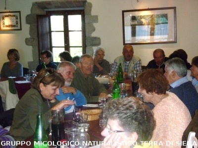 Ricerca funghi al Belagaio
