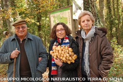 Ricerca funghi al Belagaio