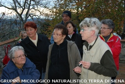 Ricerca funghi al Belagaio