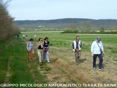 Monte Siepi e San Galgano