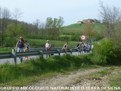 Monte Siepi e San Galgano