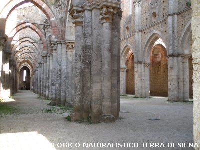 Monte Siepi e San Galgano