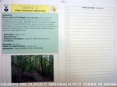 XXIX Comitato Scientifico