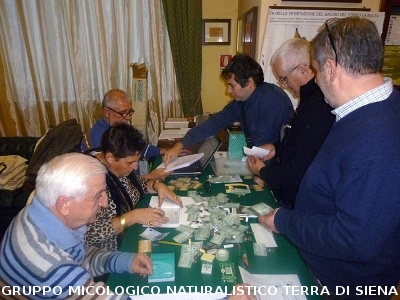 XXIX Comitato Scientifico