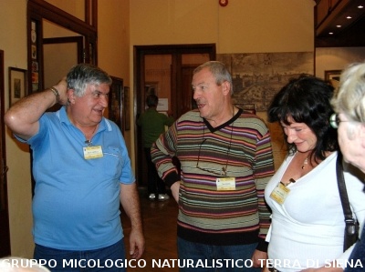 XXIX Comitato Scientifico