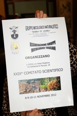 XXIX Comitato Scientifico
