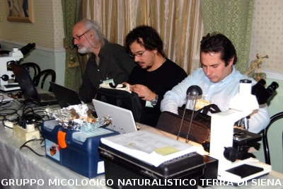 XXIX Comitato Scientifico
