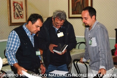 XXIX Comitato Scientifico