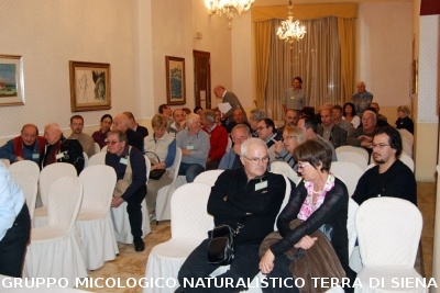 XXIX Comitato Scientifico