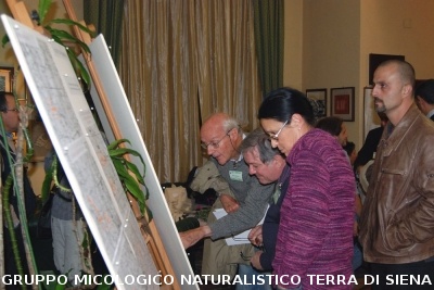 XXIX Comitato Scientifico