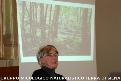 XXIX Comitato Scientifico
