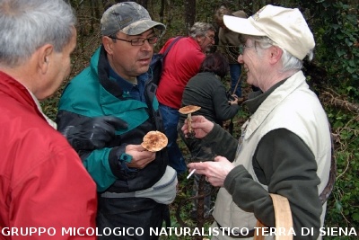 XXIX Comitato Scientifico
