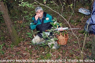 XXIX Comitato Scientifico