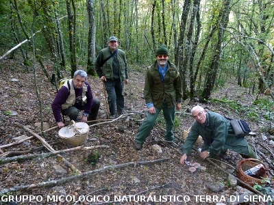 XXIX Comitato Scientifico