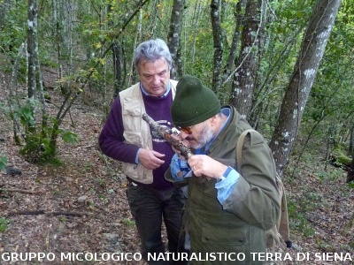 XXIX Comitato Scientifico