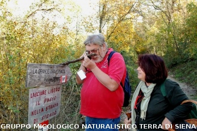 XXIX Comitato Scientifico