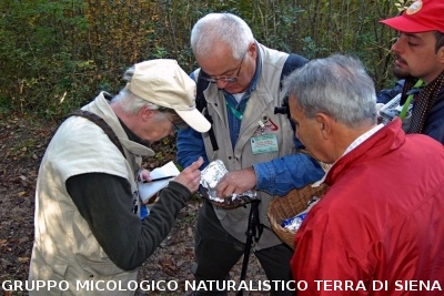XXIX Comitato Scientifico