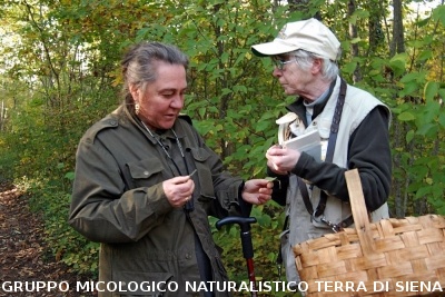 XXIX Comitato Scientifico