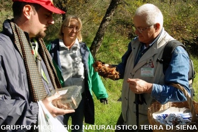 XXIX Comitato Scientifico