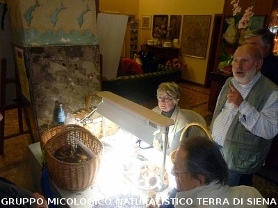 XXIX Comitato Scientifico