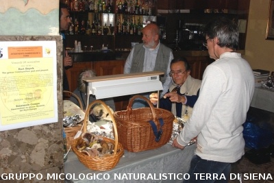 XXIX Comitato Scientifico