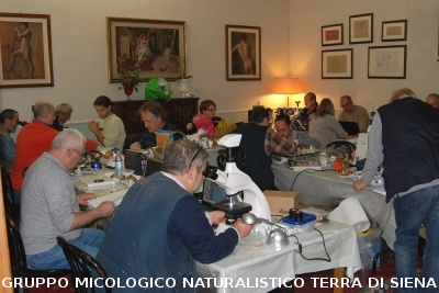 XXIX Comitato Scientifico
