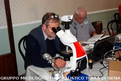 XXIX Comitato Scientifico