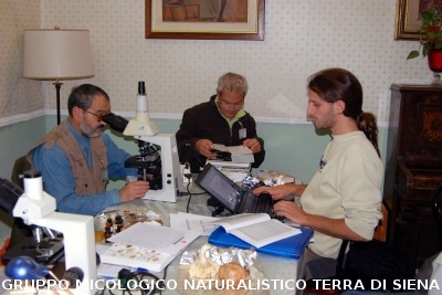 XXIX Comitato Scientifico