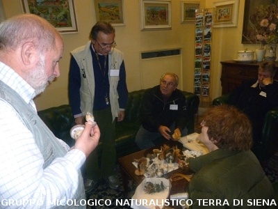 XXIX Comitato Scientifico