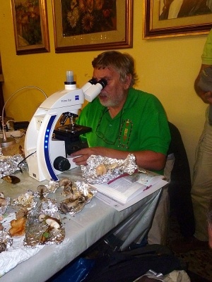 XXIX Comitato Scientifico