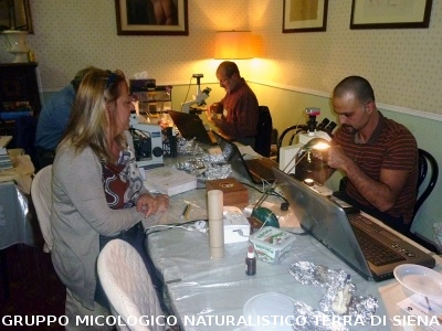 XXIX Comitato Scientifico
