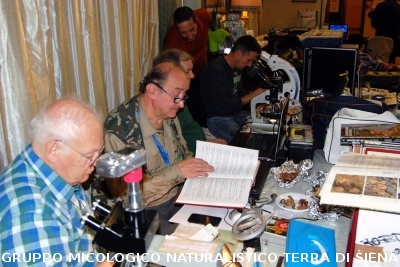 XXIX Comitato Scientifico