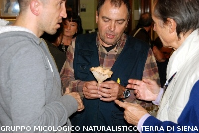 XXIX Comitato Scientifico