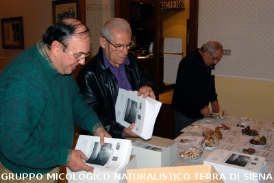 XXIX Comitato Scientifico
