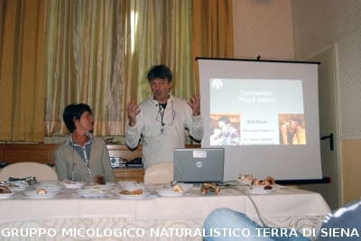 XXIX Comitato Scientifico