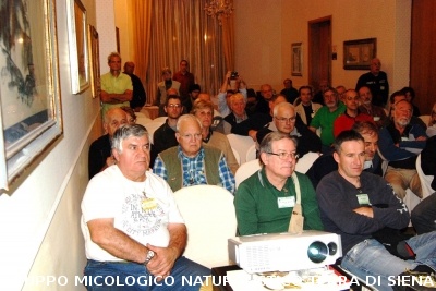 XXIX Comitato Scientifico