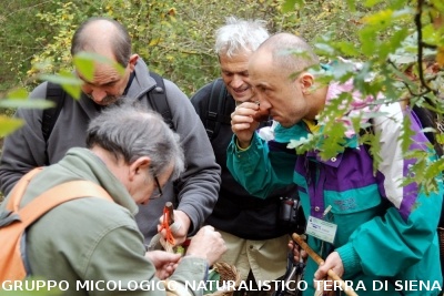 XXIX Comitato Scientifico