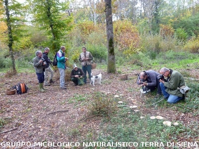 XXIX Comitato Scientifico