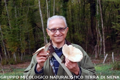 XXIX Comitato Scientifico
