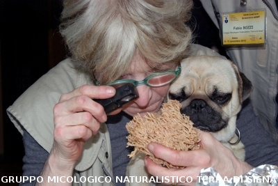 XXIX Comitato Scientifico