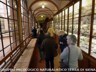XXIX Comitato Scientifico