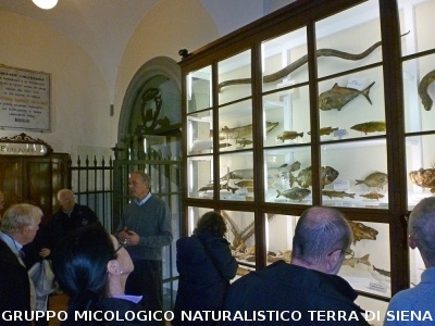 XXIX Comitato Scientifico