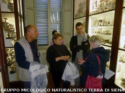 XXIX Comitato Scientifico